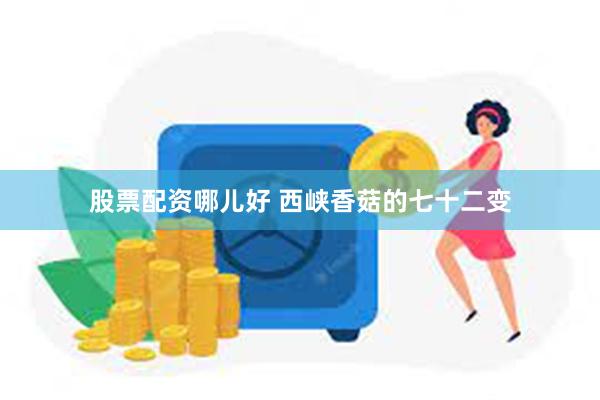 股票配资哪儿好 西峡香菇的七十二变