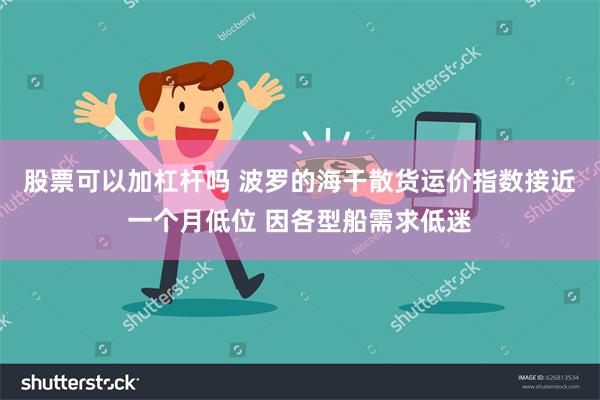 股票可以加杠杆吗 波罗的海干散货运价指数接近一个月低位 因各型船需求低迷