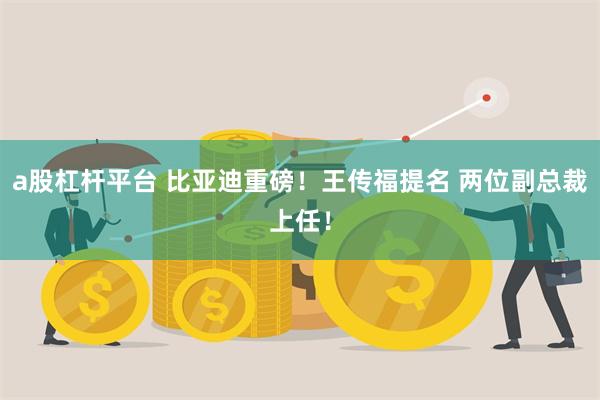 a股杠杆平台 比亚迪重磅！王传福提名 两位副总裁上任！