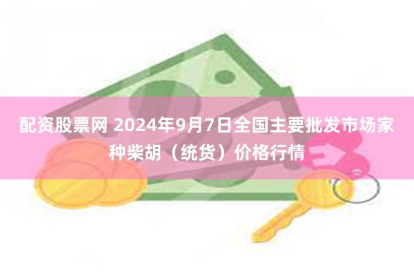 配资股票网 2024年9月7日全国主要批发市场家种柴胡（统货）价格行情