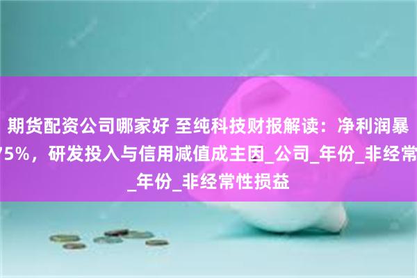 期货配资公司哪家好 至纯科技财报解读：净利润暴跌93.75%