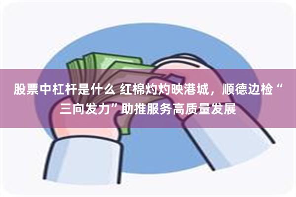 股票中杠杆是什么 红棉灼灼映港城，顺德边检“三向发力”助推服