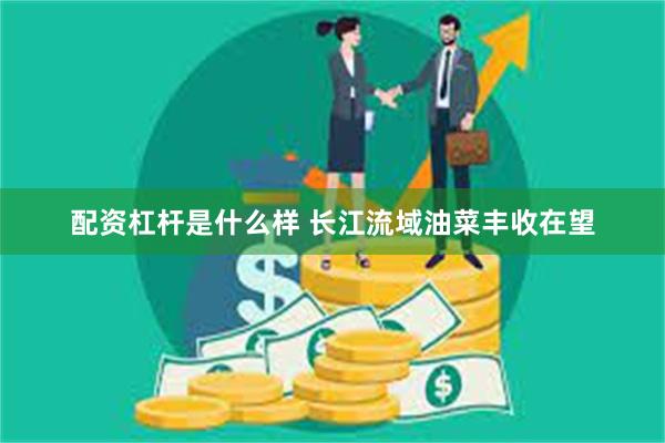 配资杠杆是什么样 长江流域油菜丰收在望
