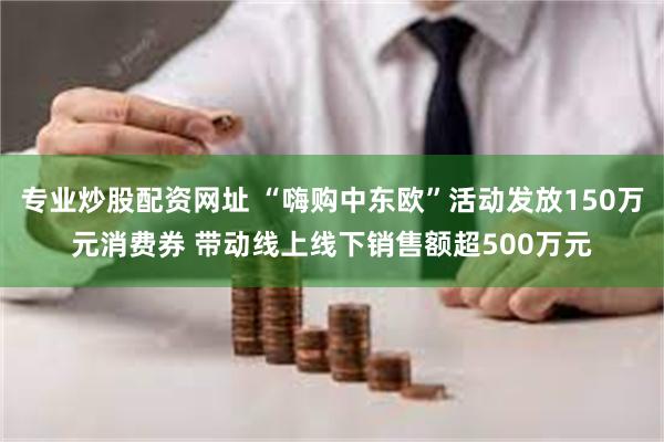 专业炒股配资网址 “嗨购中东欧”活动发放150万元消费券 带