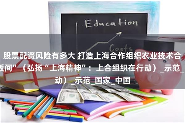 股票配资风险有多大 打造上海合作组织农业技术合作的“样板间”