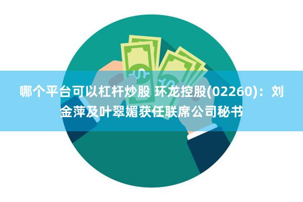 哪个平台可以杠杆炒股 环龙控股(02260)：刘金萍及叶翠媚
