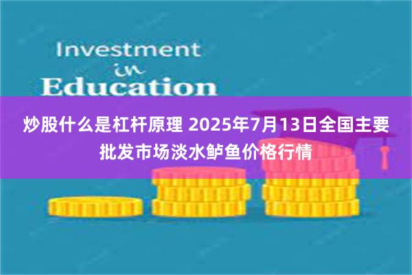 炒股什么是杠杆原理 2025年7月13日全国主要批发市场淡水
