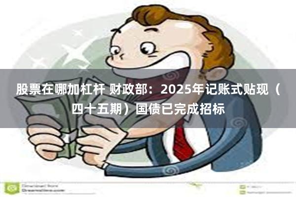 股票在哪加杠杆 财政部：2025年记账式贴现（四十五期）国债