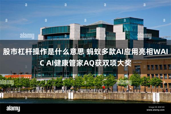 股市杠杆操作是什么意思 蚂蚁多款AI应用亮相WAIC AI健