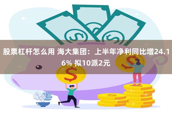 股票杠杆怎么用 海大集团：上半年净利同比增24.16% 拟1