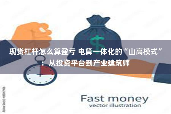 现货杠杆怎么算盈亏 电算一体化的“山高模式”：从投资平台到产