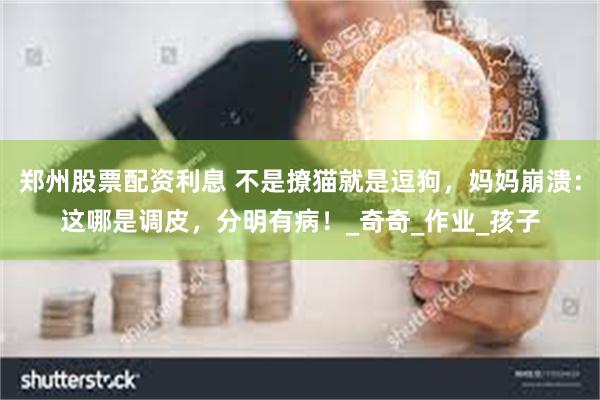 郑州股票配资利息 不是撩猫就是逗狗，妈妈崩溃：这哪是调皮，分