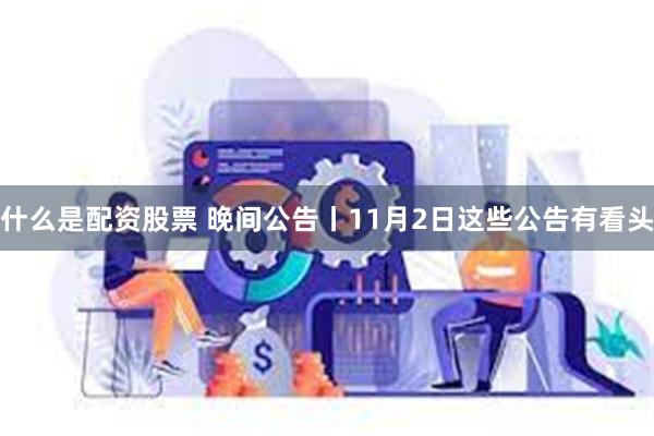 什么是配资股票 晚间公告丨11月2日这些公告有看头